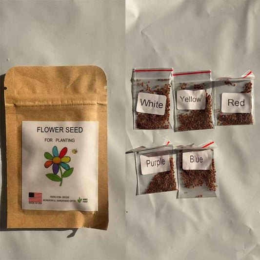 5-Color Mixed Climbing Flower Seeds – Heirloom Garden Seed Collection